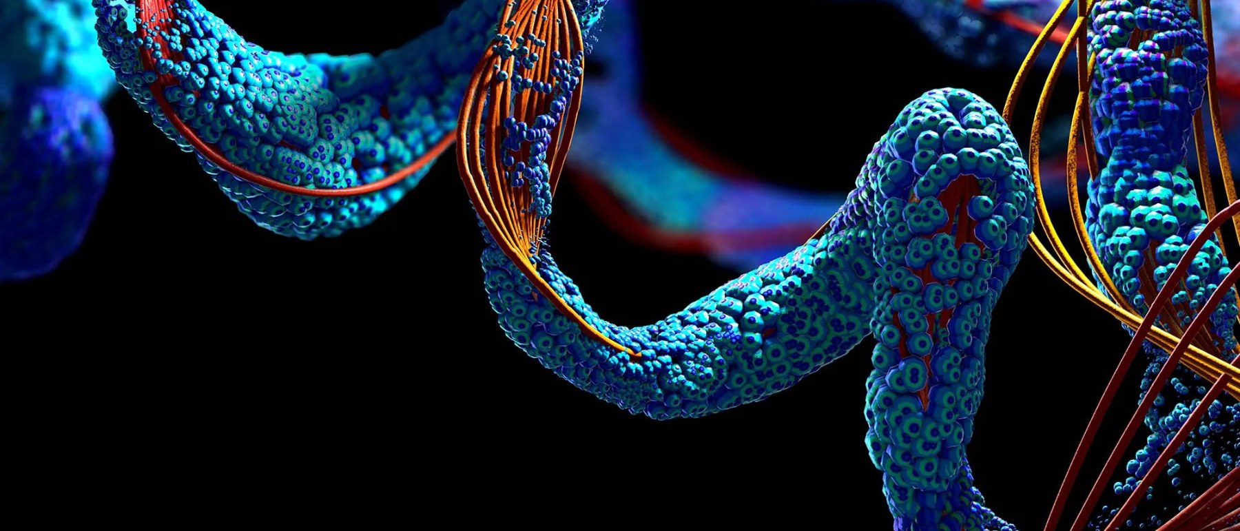 Illustration of peptide chains — short sequences of amino acids, the class of molecule used in peptide therapy